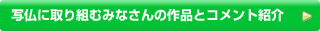 写仏に取り組むみなさんの作品とコメント紹介
