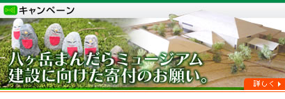 八ヶ岳まんだらミュージアム建設に向けた寄付のお願い